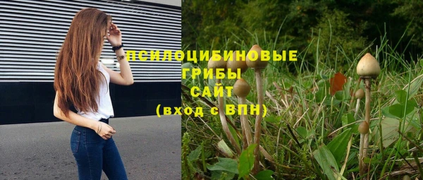 гашик Бородино