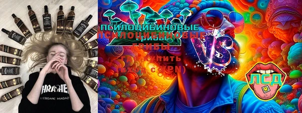 гашик Бородино
