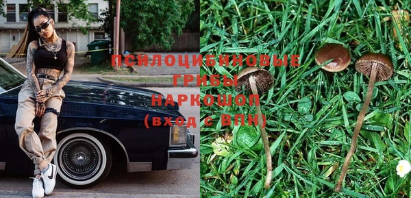 прущие крисы Беломорск