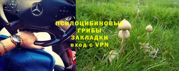 прущие крисы Белокуриха