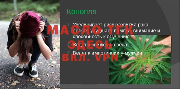 гашик Бородино