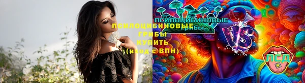 прущие крисы Белокуриха