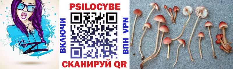 Псилоцибиновые грибы мухоморы  купить наркотики сайты  Луховицы 