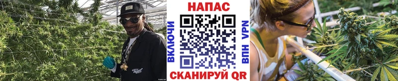 Бошки Шишки Ganja  наркошоп  Луховицы 